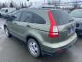 2007 GREEN HONDA CR-V LX (JHLRE48307C) with an 2.4L engine, Automatic transmission, located at 929 East 8th Ave, Anchorage, AK, 99501, (907) 274-2277, 61.214783, -149.866074 - Photo#2