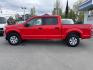 2020 RED FORD F150 SUPERCREW XLT (1FTEW1E58LF) with an 5.0L engine, Automatic transmission, located at 929 East 8th Ave, Anchorage, AK, 99501, (907) 274-2277, 61.214783, -149.866074 - Photo#1