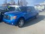 2014 BLUE FORD F150 SUPERCREW (1FTEW1CM8EK) with an 3.7L engine, Automatic transmission, located at 929 East 8th Ave, Anchorage, AK, 99501, (907) 274-2277, 61.214783, -149.866074 - Photo#0