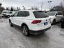 2021 WHITE VOLKSWAGEN TIGUAN SE (3VV2B7AX5MM) with an 2.0L engine, Automatic transmission, located at 929 East 8th Ave, Anchorage, AK, 99501, (907) 274-2277, 61.214783, -149.866074 - Photo#2