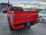 2013 RED FORD F150 SUPERCREW (1FTFW1ET0DK) with an 3.5L engine, Automatic transmission, located at 929 East 8th Ave, Anchorage, AK, 99501, (907) 274-2277, 61.214783, -149.866074 - Photo#2