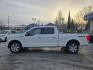 2020 FORD F150 PLATINUM SUPERCREW (1FTFW1E48LF) with an 3.5L engine, Automatic transmission, located at 929 East 8th Ave, Anchorage, AK, 99501, (907) 274-2277, 61.214783, -149.866074 - Photo#1