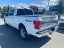 2020 WHITE FORD F150 SUPERCREW (1FTFW1E48LF) with an 3.5L engine, Automatic transmission, located at 929 East 8th Ave, Anchorage, AK, 99501, (907) 274-2277, 61.214783, -149.866074 - Photo#2