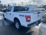 2020 WHITE FORD F150 SUPERCREW (1FTEW1E56LF) with an 5.0L engine, Automatic transmission, located at 929 East 8th Ave, Anchorage, AK, 99501, (907) 274-2277, 61.214783, -149.866074 - Photo#2