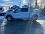 2024 WHITE FORD F150 XLT XLT (1FTFW3LD9RF) with an 3.5L engine, Automatic transmission, located at 929 East 8th Ave, Anchorage, AK, 99501, (907) 274-2277, 61.214783, -149.866074 - Photo#1