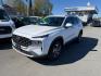 2023 WHITE HYUNDAI SANTA FE SEL SEL (5NMS2DAJ9PH) with an 2.5L engine, Automatic transmission, located at 929 East 8th Ave, Anchorage, AK, 99501, (907) 274-2277, 61.214783, -149.866074 - Photo#0