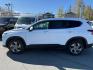 2023 WHITE HYUNDAI SANTA FE SEL SEL (5NMS2DAJ9PH) with an 2.5L engine, Automatic transmission, located at 929 East 8th Ave, Anchorage, AK, 99501, (907) 274-2277, 61.214783, -149.866074 - Photo#1