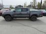 2022 GRAY TOYOTA TACOMA DOUBLE CAB (3TMCZ5AN5NM) with an 3.5L engine, Automatic transmission, located at 929 East 8th Ave, Anchorage, AK, 99501, (907) 274-2277, 61.214783, -149.866074 - Photo#1