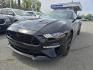 2021 BLACK FORD MUSTANG GT (1FA6P8CF2M5) with an 5.0L engine, 6-Speed Manual transmission, located at 929 East 8th Ave, Anchorage, AK, 99501, (907) 274-2277, 61.214783, -149.866074 - Photo#0