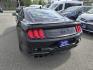 2021 BLACK FORD MUSTANG GT (1FA6P8CF2M5) with an 5.0L engine, 6-Speed Manual transmission, located at 929 East 8th Ave, Anchorage, AK, 99501, (907) 274-2277, 61.214783, -149.866074 - Photo#2