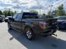 2014 BLACK FORD F150 SUPERCREW (1FTFW1ETXEK) with an 3.5L engine, Automatic transmission, located at 929 East 8th Ave, Anchorage, AK, 99501, (907) 274-2277, 61.214783, -149.866074 - Photo#2