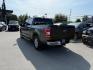 2019 GRAY FORD F150 SUPERCREW (1FTEW1EP3KF) with an 2.7L engine, Automatic transmission, located at 929 East 8th Ave, Anchorage, AK, 99501, (907) 274-2277, 61.214783, -149.866074 - Photo#2