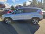 2014 SILVER FORD ESCAPE TITANIUM (1FMCU9JX6EU) with an 1.6L engine, Automatic transmission, located at 929 East 8th Ave, Anchorage, AK, 99501, (907) 274-2277, 61.214783, -149.866074 - Photo#1
