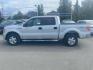 2013 SILVER FORD F150 SUPERCREW (1FTFW1EF6DF) with an 5.0L engine, Automatic transmission, located at 929 East 8th Ave, Anchorage, AK, 99501, (907) 274-2277, 61.214783, -149.866074 - Photo#1