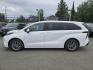 2023 WHITE TOYOTA SIENNA LE (5TDKRKEC0PS) with an 2.5L engine, Automatic transmission, located at 929 East 8th Ave, Anchorage, AK, 99501, (907) 274-2277, 61.214783, -149.866074 - Photo#1