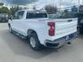 2023 WHITE CHEVROLET SILVERADO 1500 LT (1GCUDDED4PZ) with an 5.3L engine, Automatic transmission, located at 929 East 8th Ave, Anchorage, AK, 99501, (907) 274-2277, 61.214783, -149.866074 - Photo#2