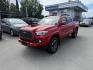 2021 RED TOYOTA TACOMA DOUBLE CAB (3TMCZ5AN6MM) with an 3.5L engine, Automatic transmission, located at 929 East 8th Ave, Anchorage, AK, 99501, (907) 274-2277, 61.214783, -149.866074 - Photo#0