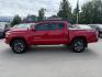 2021 RED TOYOTA TACOMA DOUBLE CAB (3TMCZ5AN6MM) with an 3.5L engine, Automatic transmission, located at 929 East 8th Ave, Anchorage, AK, 99501, (907) 274-2277, 61.214783, -149.866074 - Photo#1