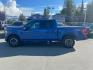 2023 BLUE FORD F150 SUPERCREW (1FTFW1E52PK) with an 5.0L engine, Automatic transmission, located at 929 East 8th Ave, Anchorage, AK, 99501, (907) 274-2277, 61.214783, -149.866074 - Photo#1