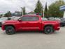 2022 RED TOYOTA TUNDRA CREWMAX PLATINUM (5TFNA5DB4NX) with an 3.4L engine, Automatic transmission, located at 929 East 8th Ave, Anchorage, AK, 99501, (907) 274-2277, 61.214783, -149.866074 - Photo#1