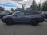 2024 GRAY SUBARU OUTBACK WILDERNESS (4S4BTGUD6R3) with an 2.4L engine, Continuously Variable transmission, located at 929 East 8th Ave, Anchorage, AK, 99501, (907) 274-2277, 61.214783, -149.866074 - Photo#1