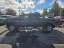 2024 GRAY CHEVROLET SILVERADO 2500 HEAVY DUTY LT (1GC4YNE77RF) with an 6.6L engine, Automatic transmission, located at 929 East 8th Ave, Anchorage, AK, 99501, (907) 274-2277, 61.214783, -149.866074 - Photo#0