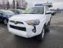 2023 WHITE TOYOTA 4RUNNER SE SE (JTEMU5JR3P6) with an 4.0L engine, Automatic transmission, located at 929 East 8th Ave, Anchorage, AK, 99501, (907) 274-2277, 61.214783, -149.866074 - Photo#0