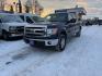 2014 BLUE FORD F150 SUPERCREW (1FTFW1EF6EF) with an 5.0L engine, Automatic transmission, located at 929 East 8th Ave, Anchorage, AK, 99501, (907) 274-2277, 61.214783, -149.866074 - Photo#0