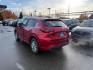 2024 RED MAZDA CX-5 SELECT SELECT (JM3KFBBL1R0) with an 2.5L engine, Automatic transmission, located at 929 East 8th Ave, Anchorage, AK, 99501, (907) 274-2277, 61.214783, -149.866074 - Photo#2