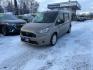 2019 BEIGE FORD TRANSIT CONNECT XLT (NM0GS9F28K1) with an 2.0L engine, Automatic transmission, located at 929 East 8th Ave, Anchorage, AK, 99501, (907) 274-2277, 61.214783, -149.866074 - Photo#0