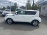 2018 WHITE KIA SOUL (KNDJN2A24J7) with an 1.6L engine, 6-Speed Manual transmission, located at 929 East 8th Ave, Anchorage, AK, 99501, (907) 274-2277, 61.214783, -149.866074 - Photo#1