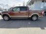 2011 BROWN FORD F150 SUPERCREW (1FTFW1EF7BK) with an 5.0L engine, Automatic transmission, located at 929 East 8th Ave, Anchorage, AK, 99501, (907) 274-2277, 61.214783, -149.866074 - Photo#1