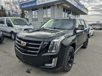 2020 CADILLAC ESCALADE PREMIUM LUXURY