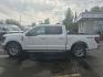 2025 WHITE FORD F150 XLT (1FTFW3L8XSK) with an 3.5L engine, Automatic transmission, located at 929 East 8th Ave, Anchorage, AK, 99501, (907) 274-2277, 61.214783, -149.866074 - Photo#1