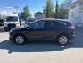 2024 BLACK FORD ESCAPE ACTIVE (1FMCU9GN7RU) with an 1.5L engine, Automatic transmission, located at 929 East 8th Ave, Anchorage, AK, 99501, (907) 274-2277, 61.214783, -149.866074 - Photo#1