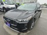 2024 BLACK FORD ESCAPE ST LINE (1FMCU0MN0RU) with an 1.5L engine, Automatic transmission, located at 929 East 8th Ave, Anchorage, AK, 99501, (907) 274-2277, 61.214783, -149.866074- Photo#0
