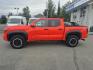 2024 ORANGE TOYOTA TACOMA DOUBLE CAB TRD OFF ROAD (3TYLB5JN7RT) with an 2.4L engine, Automatic transmission, located at 929 East 8th Ave, Anchorage, AK, 99501, (907) 274-2277, 61.214783, -149.866074- Photo#1