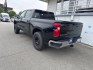 2023 BLACK CHEVROLET SILVERADO 1500 LT (2GCPACED7P1) with an 5.3L engine, Automatic transmission, located at 929 East 8th Ave, Anchorage, AK, 99501, (907) 274-2277, 61.214783, -149.866074- Photo#4