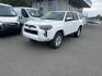 2024 WHITE TOYOTA 4RUNNER SR5/SR5 PREMIUM (JTEMU5JR4R6) with an 4.0L engine, Automatic transmission, located at 929 East 8th Ave, Anchorage, AK, 99501, (907) 274-2277, 61.214783, -149.866074- Photo#0