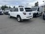 2024 WHITE TOYOTA 4RUNNER SR5/SR5 PREMIUM (JTEMU5JR4R6) with an 4.0L engine, Automatic transmission, located at 929 East 8th Ave, Anchorage, AK, 99501, (907) 274-2277, 61.214783, -149.866074- Photo#4