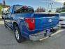 2025 BLUE FORD F150 XLT (1FTFW3L84SK) with an 3.5L engine, Automatic transmission, located at 929 East 8th Ave, Anchorage, AK, 99501, (907) 274-2277, 61.214783, -149.866074- Photo#2
