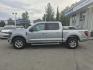 2025 SILVER FORD F150 XLT (1FTFW3L86SK) with an 3.5L engine, Automatic transmission, located at 929 East 8th Ave, Anchorage, AK, 99501, (907) 274-2277, 61.214783, -149.866074- Photo#1