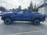 2024 BLUE TOYOTA TACOMA TRD DOUBLE CAB (3TYLB5JN3RT) with an 2.4L engine, Automatic transmission, located at 929 East 8th Ave, Anchorage, AK, 99501, (907) 274-2277, 61.214783, -149.866074- Photo#1