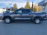2025 GRAY TOYOTA TUNDRA CREWMAX SR (5TFLA5DBXSX) with an 3.4L engine, Automatic transmission, located at 929 East 8th Ave, Anchorage, AK, 99501, (907) 274-2277, 61.214783, -149.866074- Photo#1