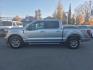 2024 SILVER FORD F150 XLT (1FTFW3LD4RF) with an 3.5L engine, Automatic transmission, located at 929 East 8th Ave, Anchorage, AK, 99501, (907) 274-2277, 61.214783, -149.866074- Photo#1