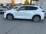 2024 WHITE MAZDA CX-5 SELECT (JM3KFBBL3R0) with an 2.5L engine, Automatic transmission, located at 929 East 8th Ave, Anchorage, AK, 99501, (907) 274-2277, 61.214783, -149.866074- Photo#1