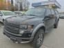 2013 BLACK FORD F150 SVT RAPTOR (1FTFW1R61DF) with an 6.2L engine, Automatic transmission, located at 929 East 8th Ave, Anchorage, AK, 99501, (907) 274-2277, 61.214783, -149.866074- Photo#0