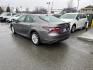 2024 GRAY TOYOTA CAMRY LE LE (4T1R11BK4RU) with an 2.5L engine, Automatic transmission, located at 929 East 8th Ave, Anchorage, AK, 99501, (907) 274-2277, 61.214783, -149.866074- Photo#2