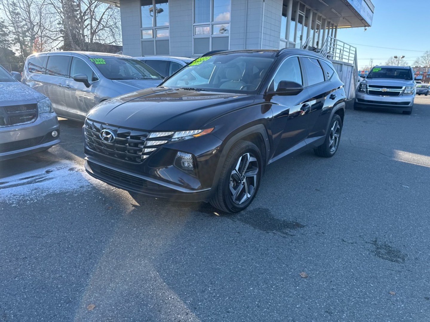 2023 BLUE HYUNDAI TUCSON SEL CONVENIENCE (KM8JFCA14PU) with an 1.6L engine, Automatic transmission, located at 929 East 8th Ave, Anchorage, AK, 99501, (907) 274-2277, 61.214783, -149.866074- Photo#0